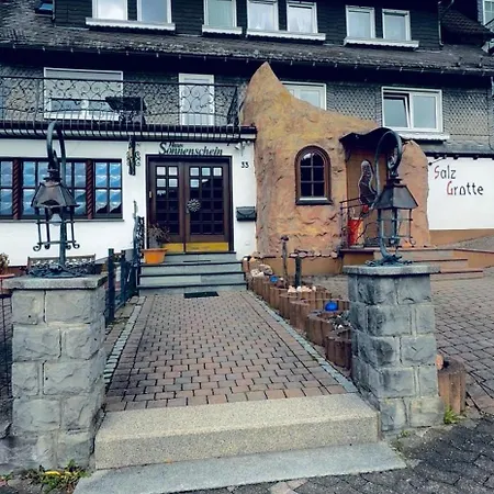 Haus Sonnenschein Apartmanhotel Winterberg