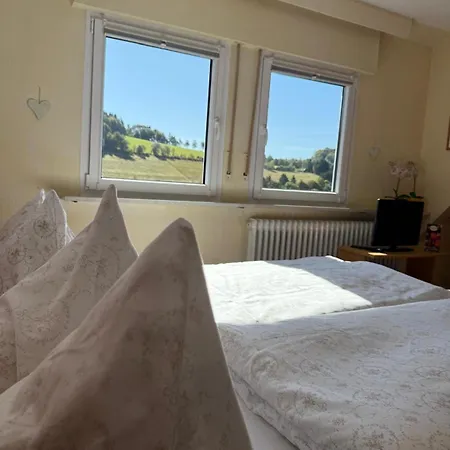 Haus Sonnenschein Ξενοδοχείο με διαμερίσματα 3*