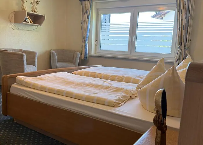 Haus Sonnenschein Hotel apartamentowy Winterberg